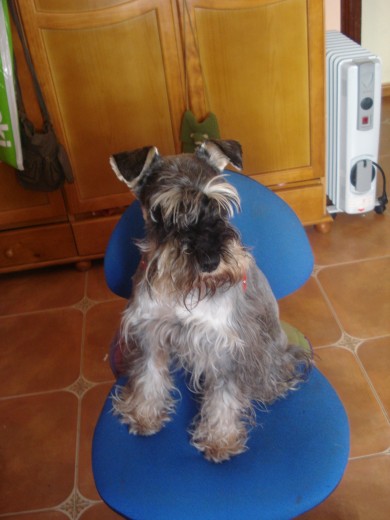 Mi Coco!!